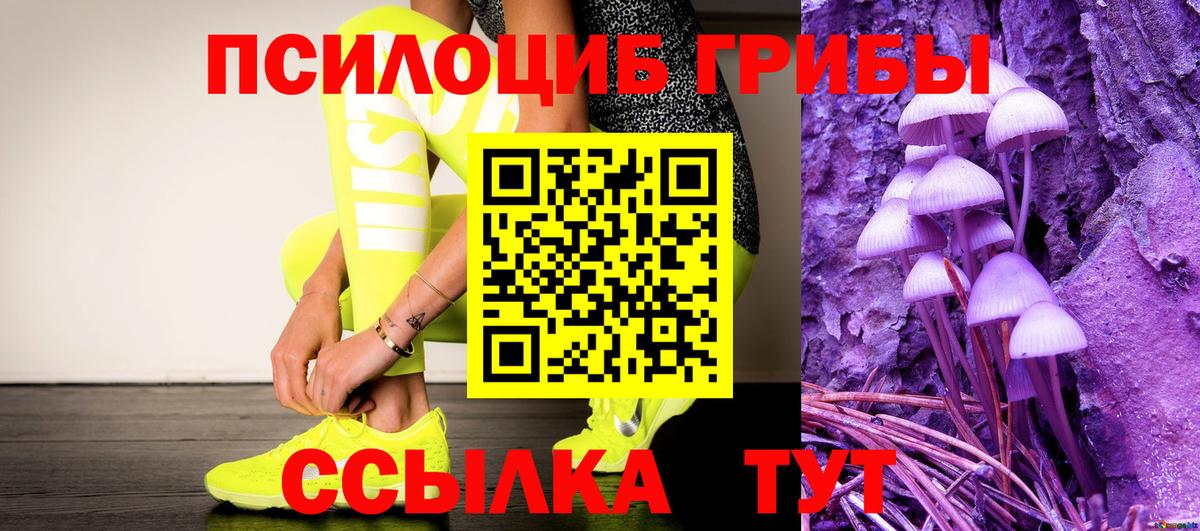 Галлюциногенные грибы Psilocybine cubensis  Псилоцибиновые грибы GOLDEN TEACHER  Вход с VPN  Ярцево 