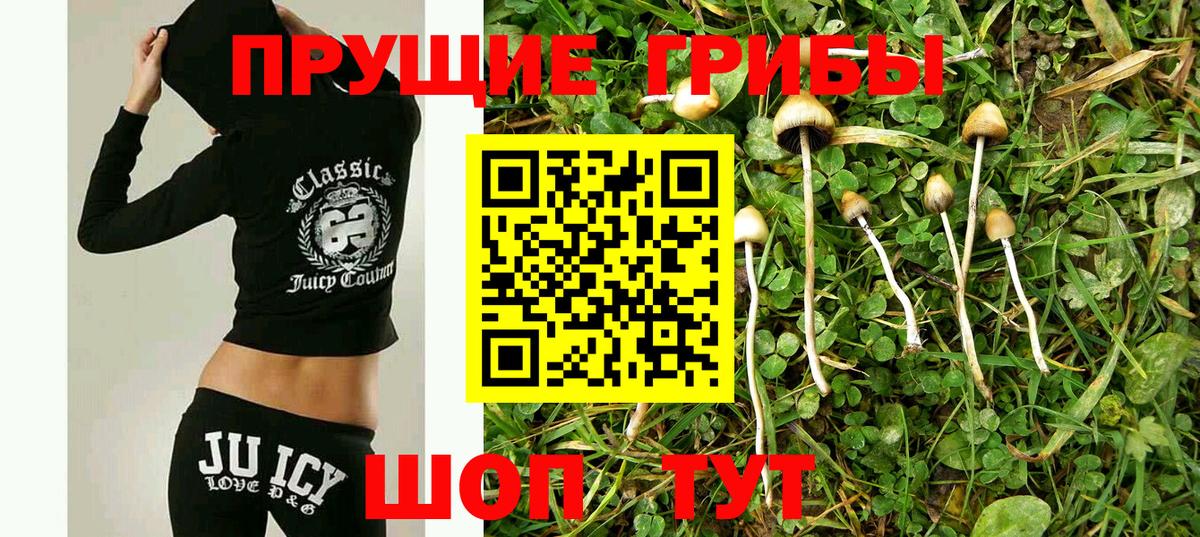 Галлюциногенные грибы Cubensis Ярцево